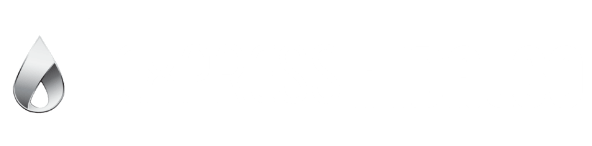 Express Hidalgo - Logo